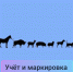 Ветеринарные  правила маркирования и учета животных - Кондопожский район