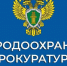Природоохранная прокуратура информирует - Кондопожский район